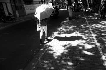 DSCF8037-02