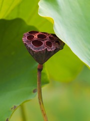 3545