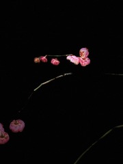 5B071C98-D79B-45AA-93AC-2085B6DB3AB7/L0/001