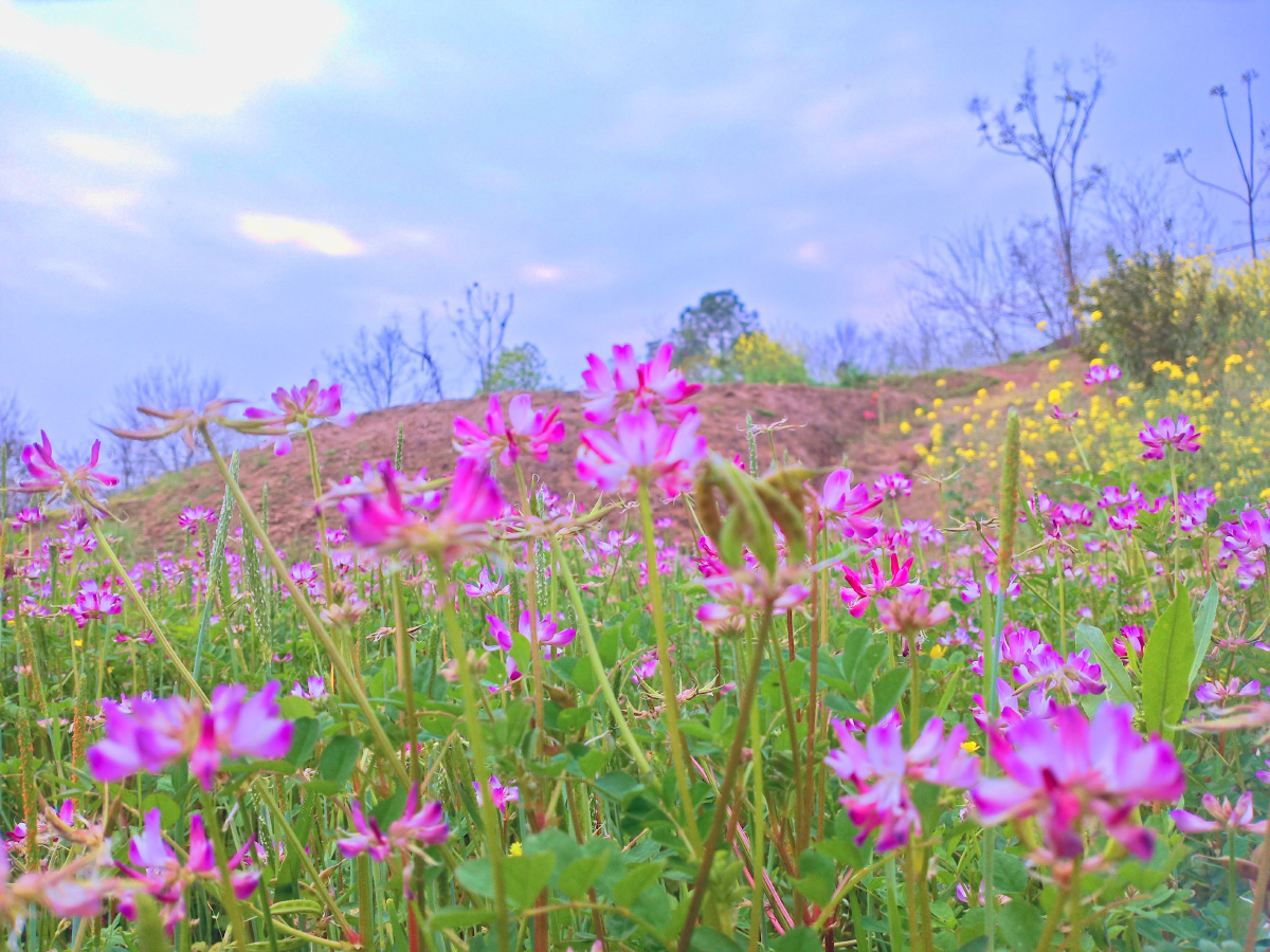 春天真的很美好她是一个小妖精充分的展示着她的多姿