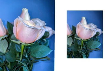 A998CCCA-67FB-42BD-9CB8-D052B4818389/L0/001