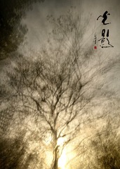 222907CF-5C29-4A04-9B9F-4595171D0429/L0/001