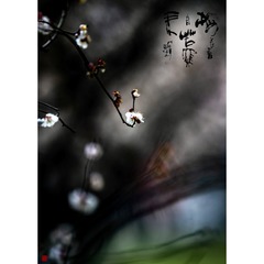 7BA18238-4441-433D-96EF-ABBE0703ACC6/L0/001