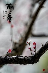 AB12690C-31EB-4094-A75D-A4340476E125/L0/001
