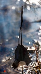 123245B3-F8A2-4ED8-925D-DDA1AAC4C843/L0/001
