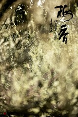 6C1DA02D-081D-41BE-B38B-3C3C85F48A70/L0/001