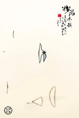032AB2B8-04D1-4F36-9E47-8C3A5926B4B5/L0/001