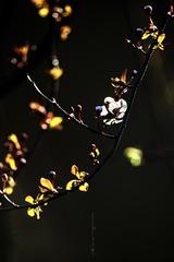 9385F662-050A-45E3-9D8A-7F6553017AF8