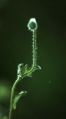 B0D44FAF-89E2-428B-B4E5-8248E9062D3D