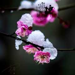 337F1665-12BE-488E-8E66-3FD30EA4E6D0