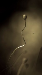 02373332-742E-4E09-82EB-385AAB380824