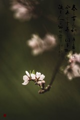 8F2D53BF-2CF3-4FBC-9A75-87A1E735A71B/L0/001
