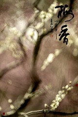 1A8FF22E-A201-4FD6-A23D-887B8097EBD2/L0/001