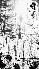 92F77F19-283C-4759-AA80-6B942E7C5A7B/L0/001
