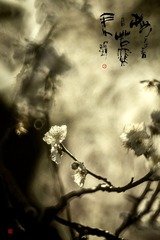 4FF1AE71-E9C7-4AE6-98C3-E1D4F04B50D4/L0/001