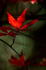 7EC8CB4A-3667-480D-9ECC-C999B9196782/L0/001