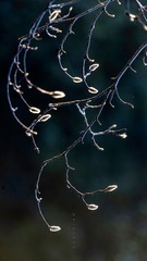 C60551F8-6D81-4119-B20C-48C009357069/L0/001