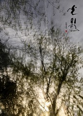 05C96C8F-4D5C-494A-A094-AA95B2889FB3/L0/001