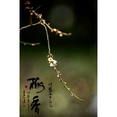 7EF5A40B-B249-4092-80AC-1B41E676CCA8/L0/001