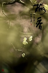 8220659A-DEF6-4C55-957E-2883EE0B9847/L0/001