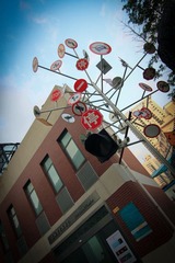 IMG_5774.jpg