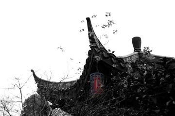 DSC_6265.jpg