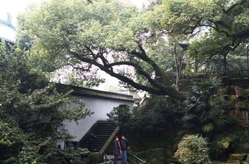 DSC_7056.jpg