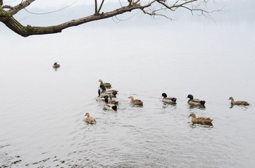 DSC_7073.jpg