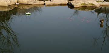 DSC_7283.jpg