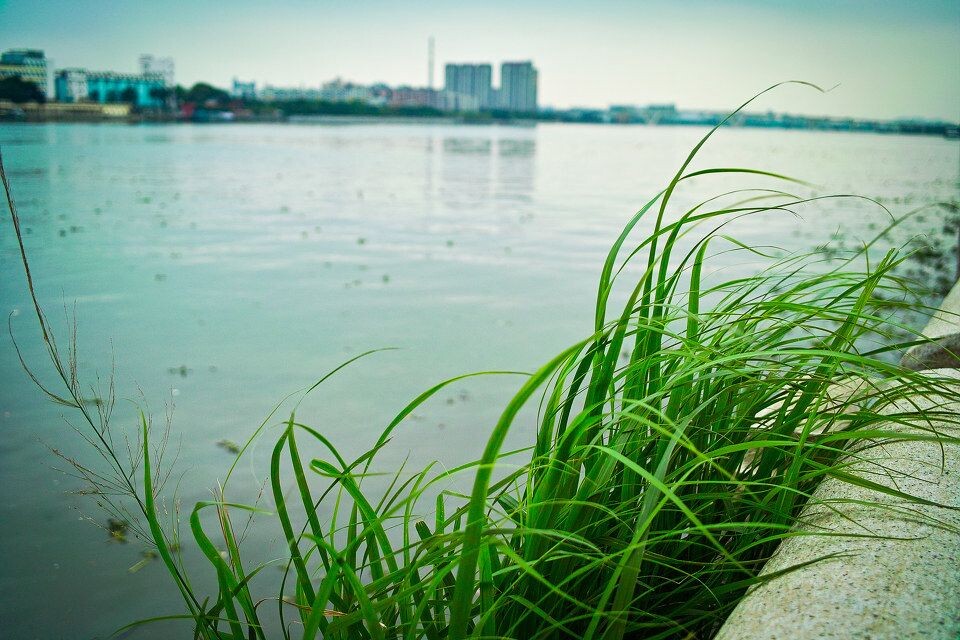 SDIM3100<br />
