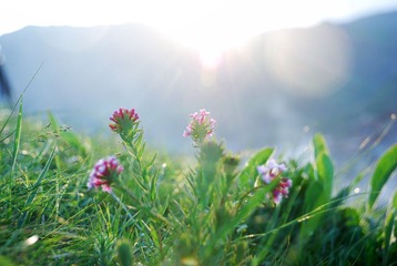 高山上的小清新