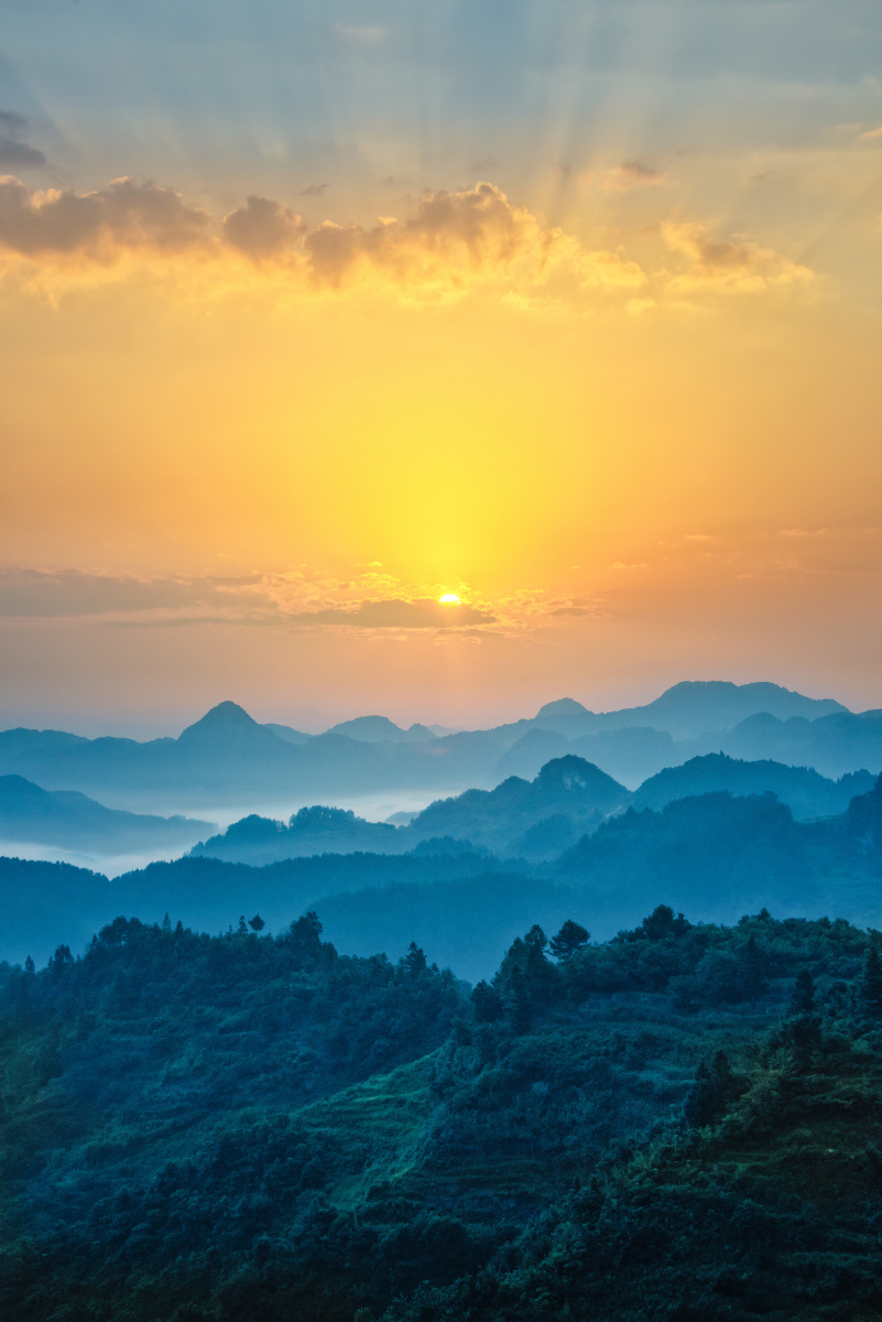 贵州原始森林关注