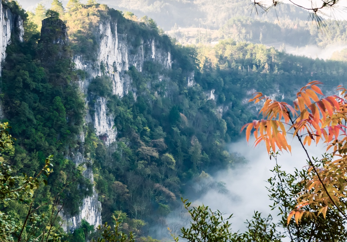 贵州原始森林 - 图虫