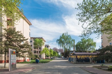 _IGP6017-1