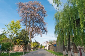_IGP6084-1