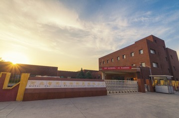 _IGP6206