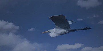 865698