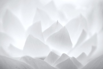 956360