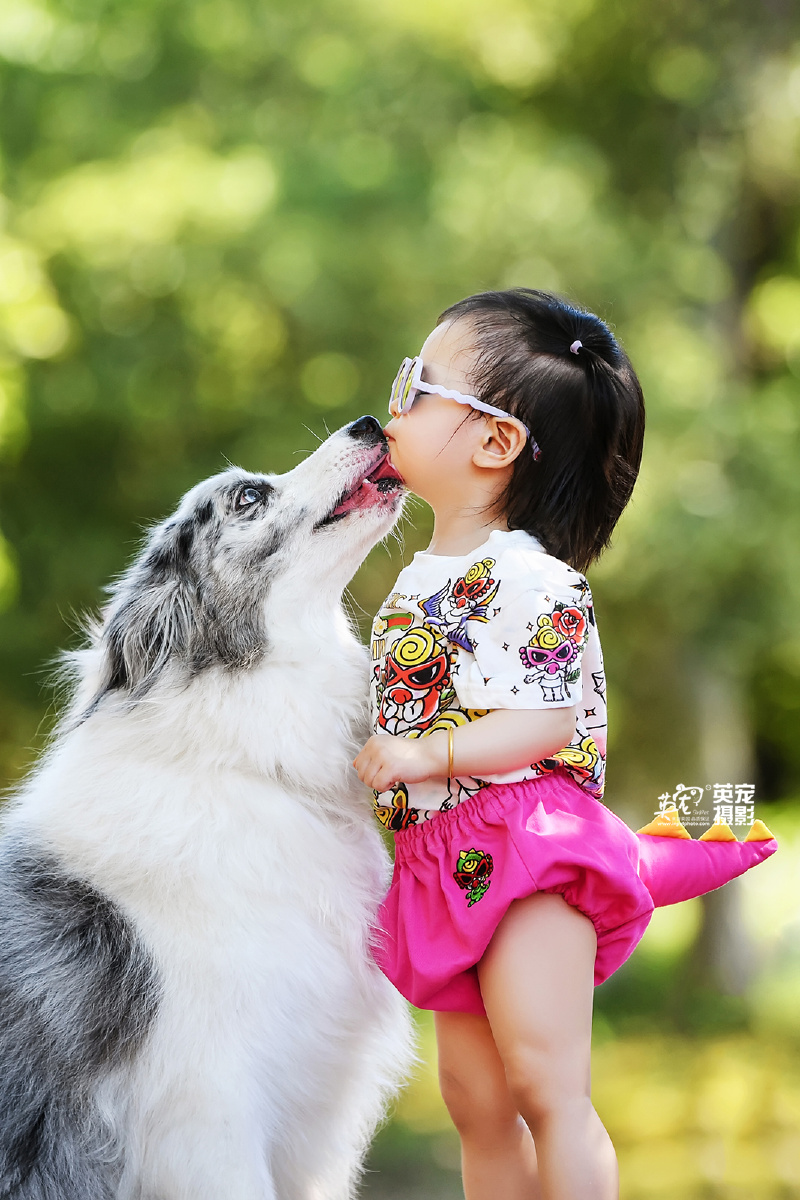 两只边牧带大的小女孩上海拍摄