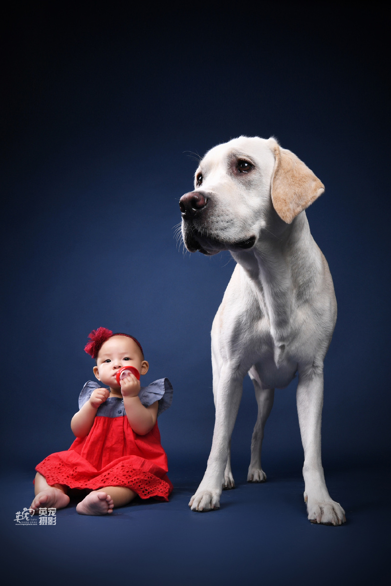真的难啊儿童和宠物在一起拍照真的太难了啊