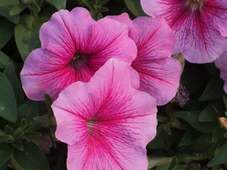 807fb841c2be27b52258f_b
