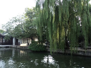 DSC00229.JPG