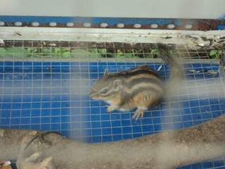 DSC00410.JPG