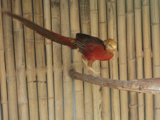 DSC00424.JPG