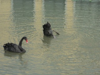 DSC00432.JPG