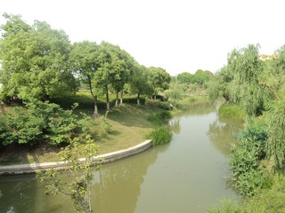 DSC00454.JPG