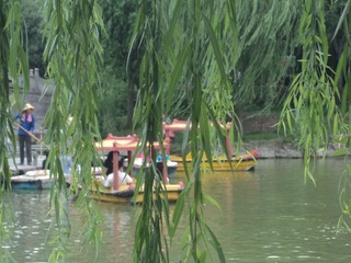 DSC00564.JPG