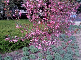 DSC00315.JPG
