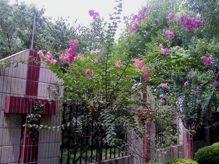 DSC00521.JPG