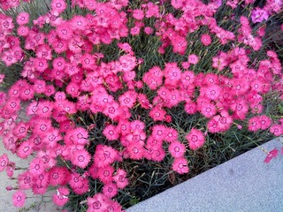 DSC00410.JPG